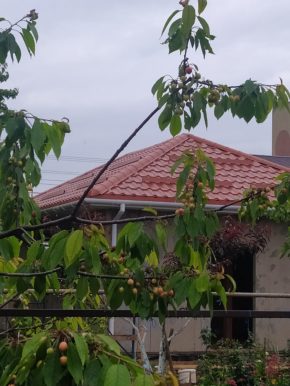 строительство домов из СИП панелей