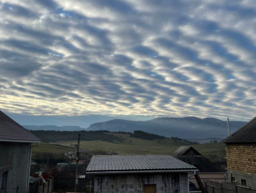 сип дома в крыму